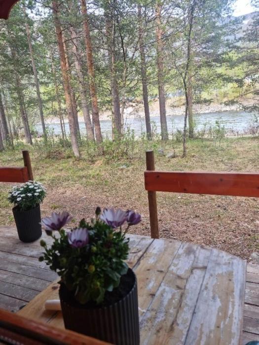 Potka Torfoss Gard, Hytte Utleie, Campingvogn Og Bobil Plasser מראה חיצוני תמונה
