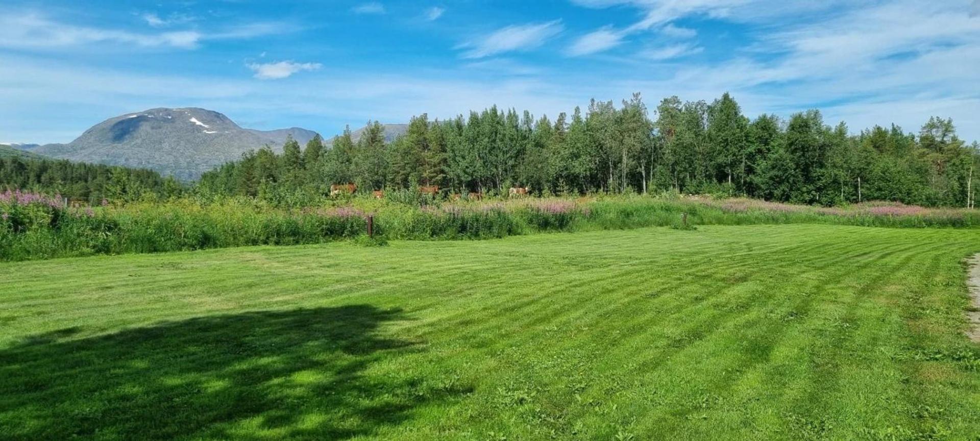 Potka Torfoss Gard, Hytte Utleie, Campingvogn Og Bobil Plasser מראה חיצוני תמונה