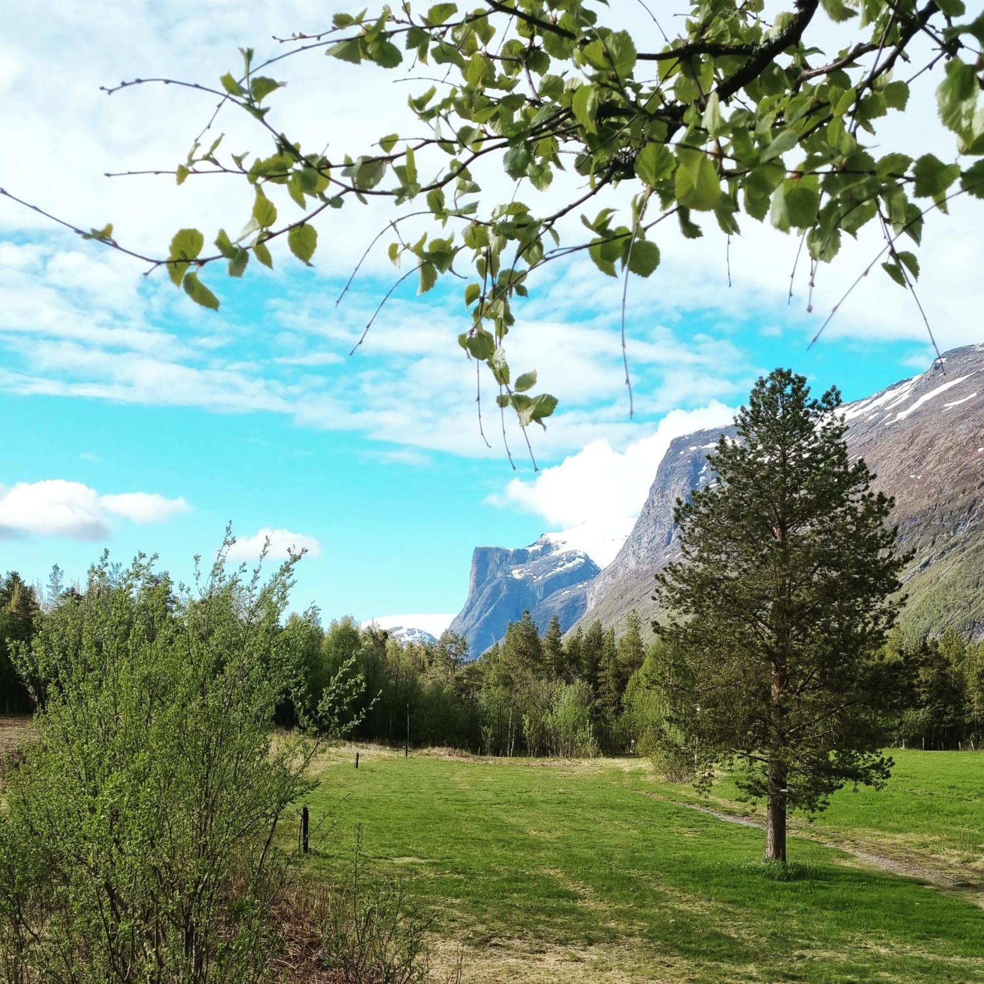 Potka Torfoss Gard, Hytte Utleie, Campingvogn Og Bobil Plasser מראה חיצוני תמונה